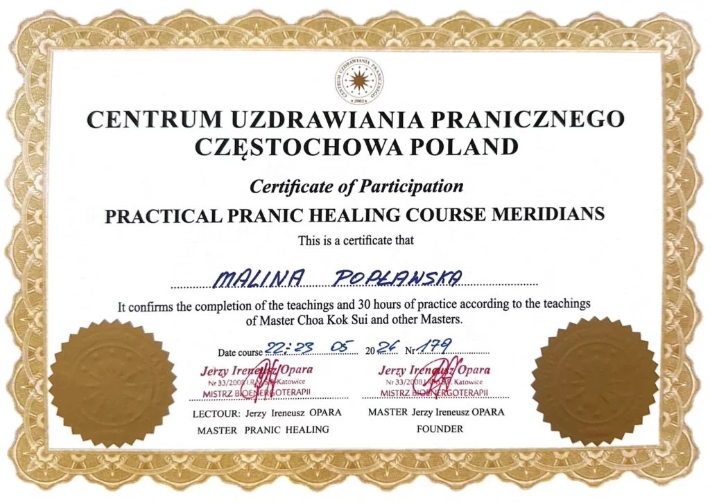 Diplom für den Pranic Healing Kurs über Meridiane
